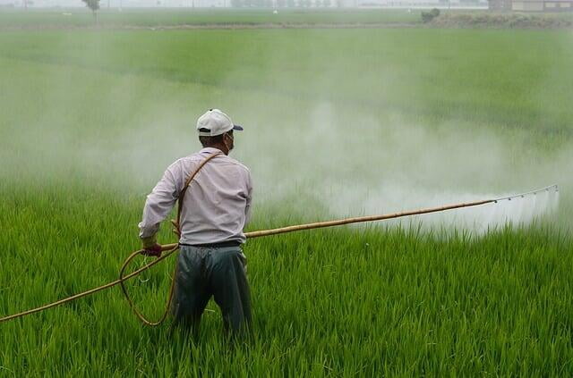Always believed that organic food is pesticide-free? You have been duped.